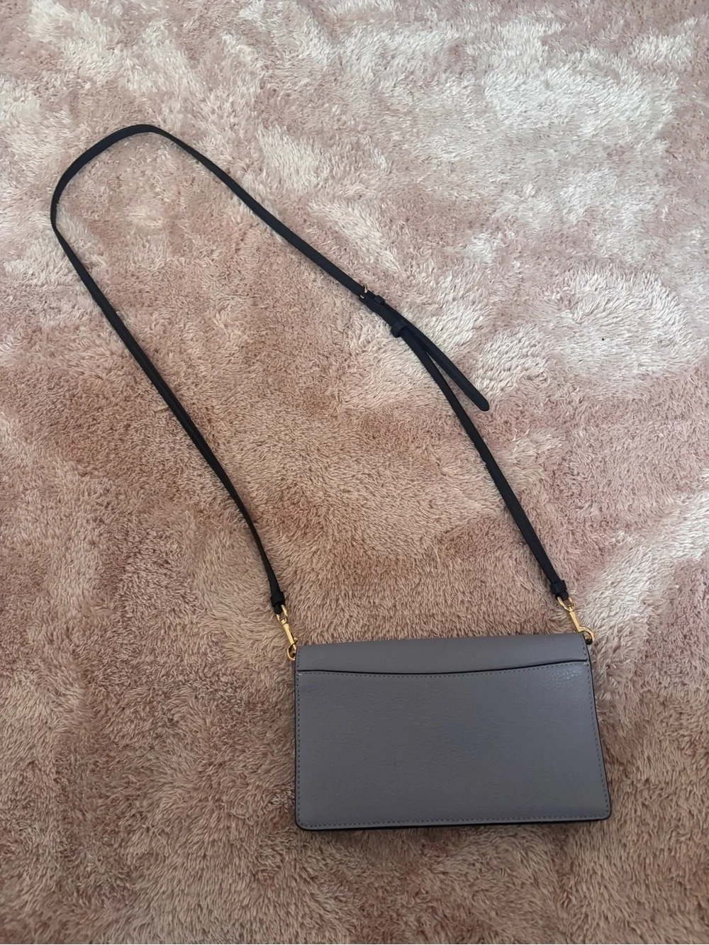 Coach cute light